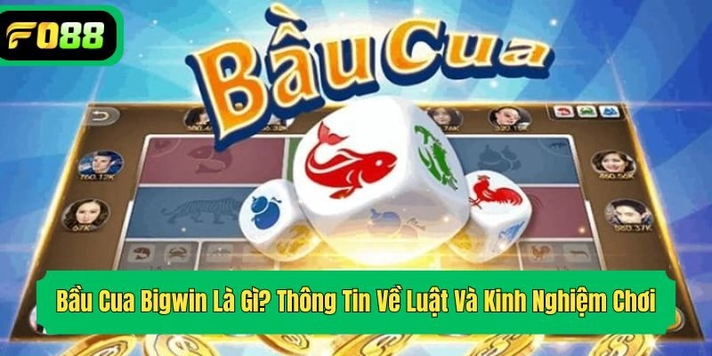 Bầu Cua Bigwin Là Gì? Thông Tin Về Luật Và Kinh Nghiệm Chơi