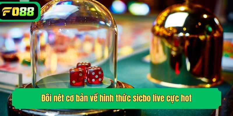 Đôi nét cơ bản về hình thức sicbo live cực hot