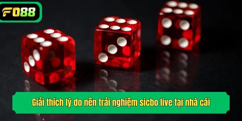 Giải thích lý do nên trải nghiệm sicbo live tại nhà cái